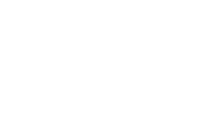 Salomon_white